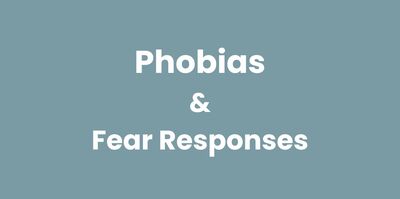 Phobia, Phobias, Panic Attack, Fear, Anxiety